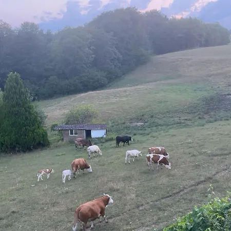 Urlaub Auf Dem Bauernhof Hohenfels (Baden-Wurttemberg)